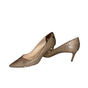 Calvin Klein Tasha Pointed Toe Pump